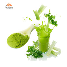 water soluble organic celery juice powder